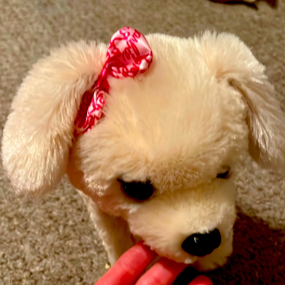 A Barbie dog, which requires batteries